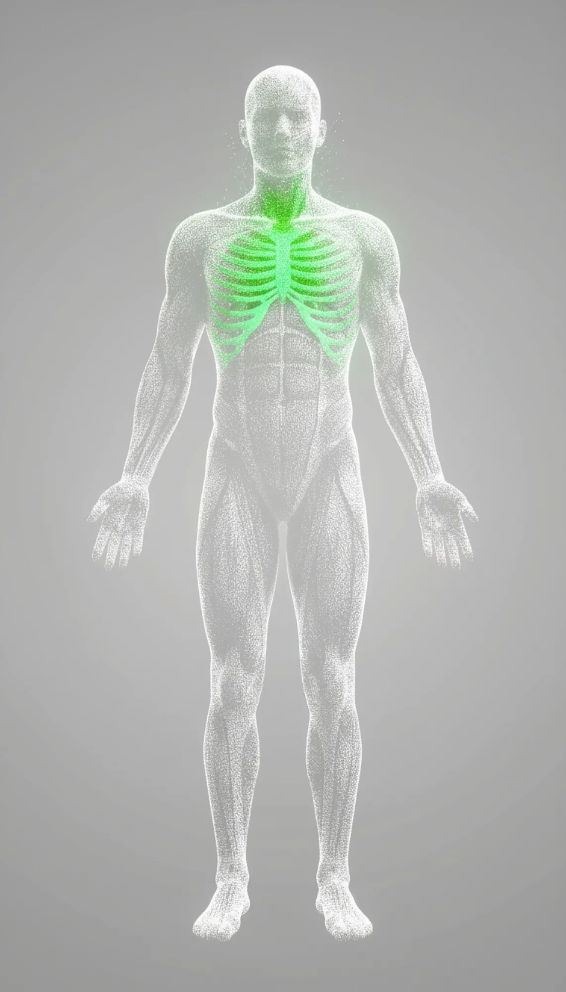 Analyse de la colonne vertébrale et du système musculosquelettique par IRM
