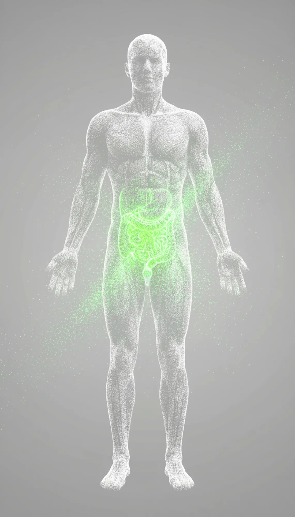 Examen IRM de la zone abdomino-pelvienne et des biomarqueurs