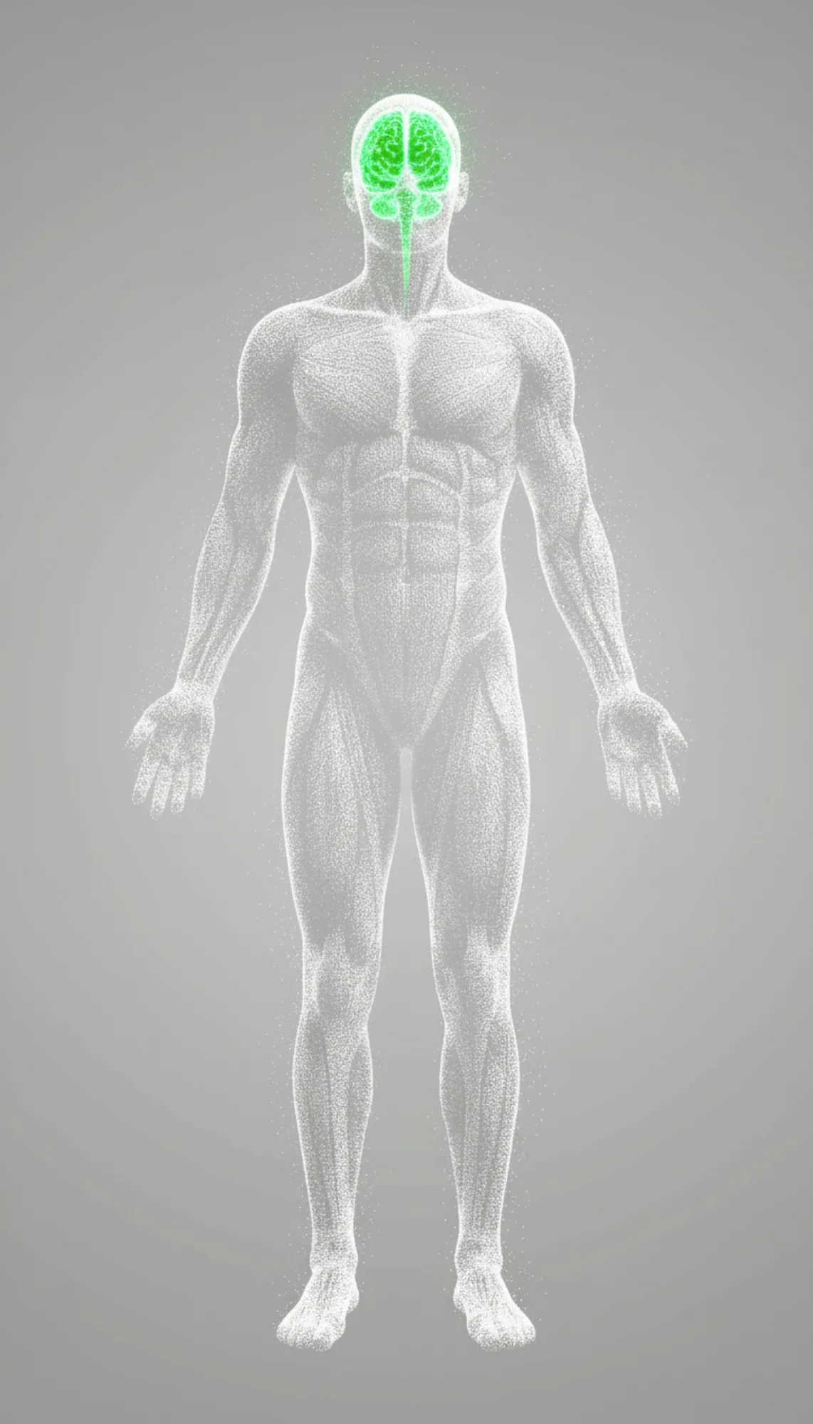 Dépistage thoracique et analyse des organes vitaux par imagerie avancée