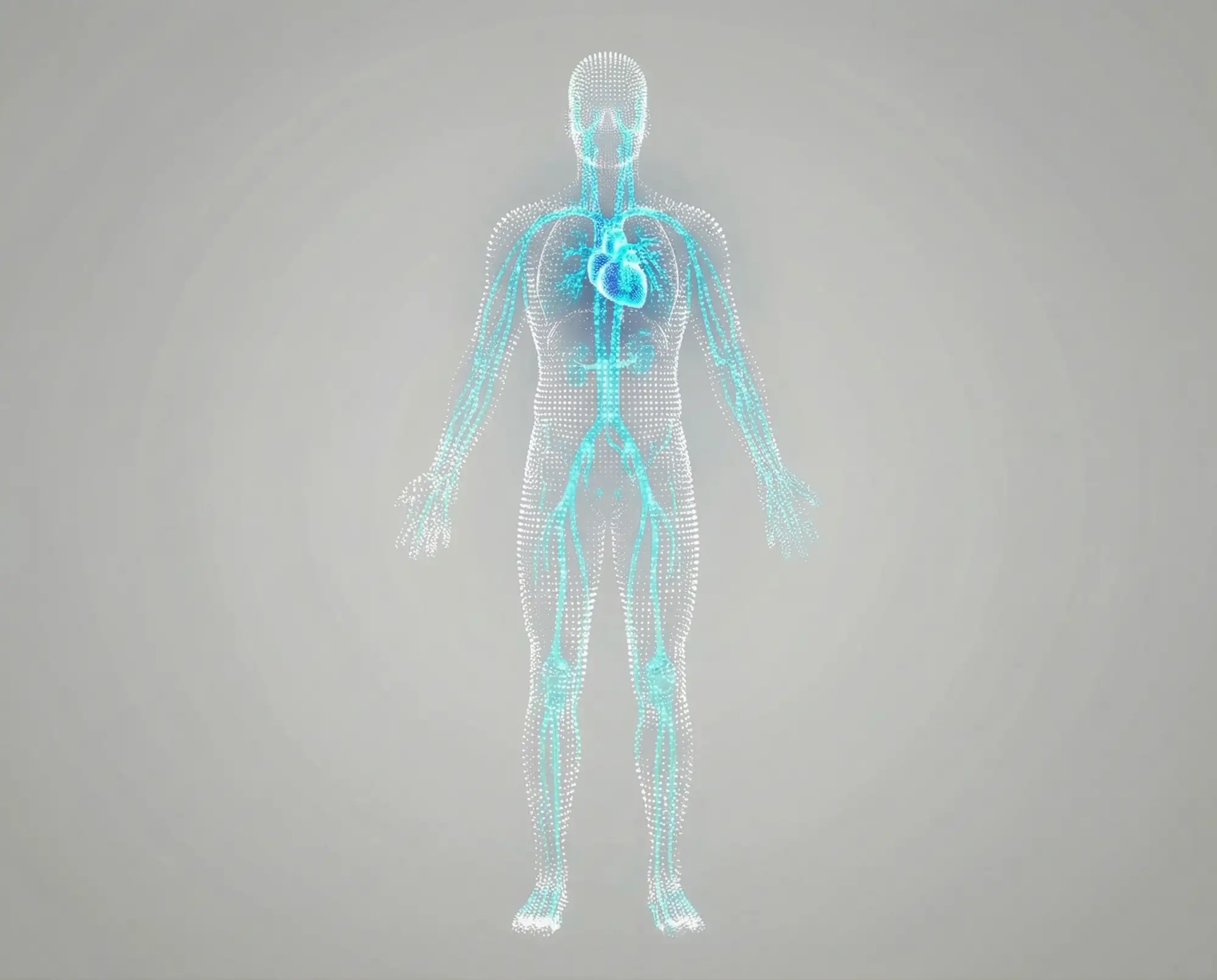 Analyse de la colonne vertébrale et du système musculosquelettique par IRM