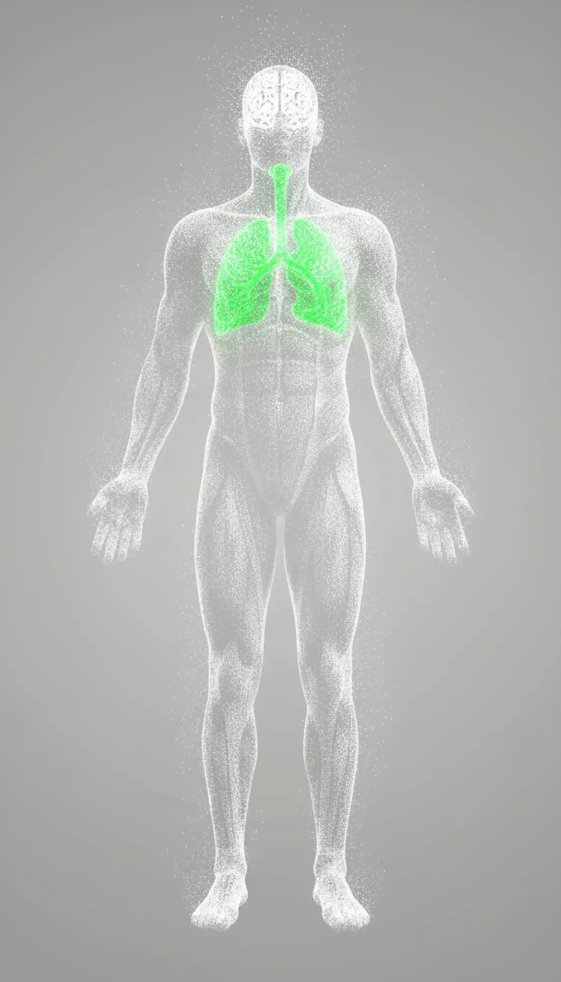 Analyse rhumatologique par IRM
